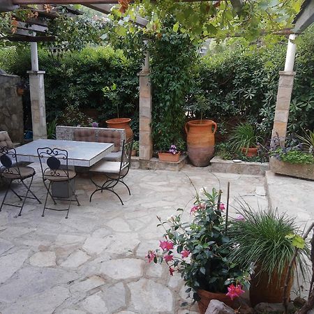 Sea-Side Old Stone Villa With A Private Garden Budva Extérieur photo