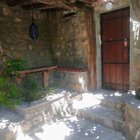 Sea-Side Old Stone Villa With A Private Garden Budva Extérieur photo