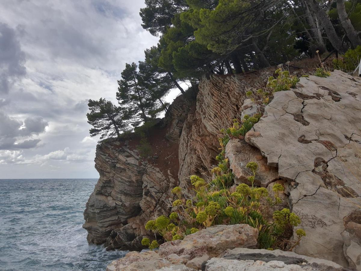 Sea-Side Old Stone Villa With A Private Garden Budva Extérieur photo
