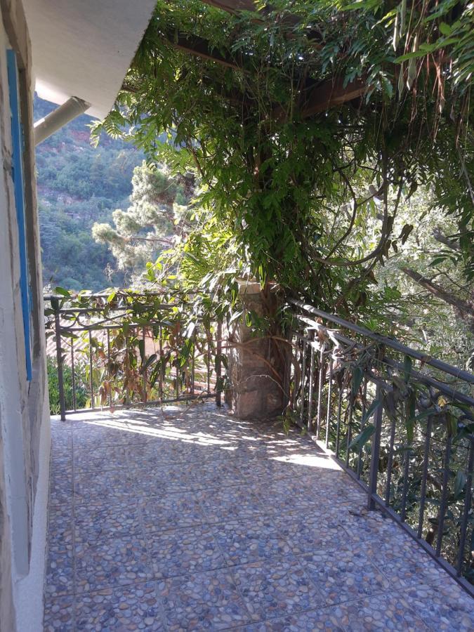 Sea-Side Old Stone Villa With A Private Garden Budva Extérieur photo