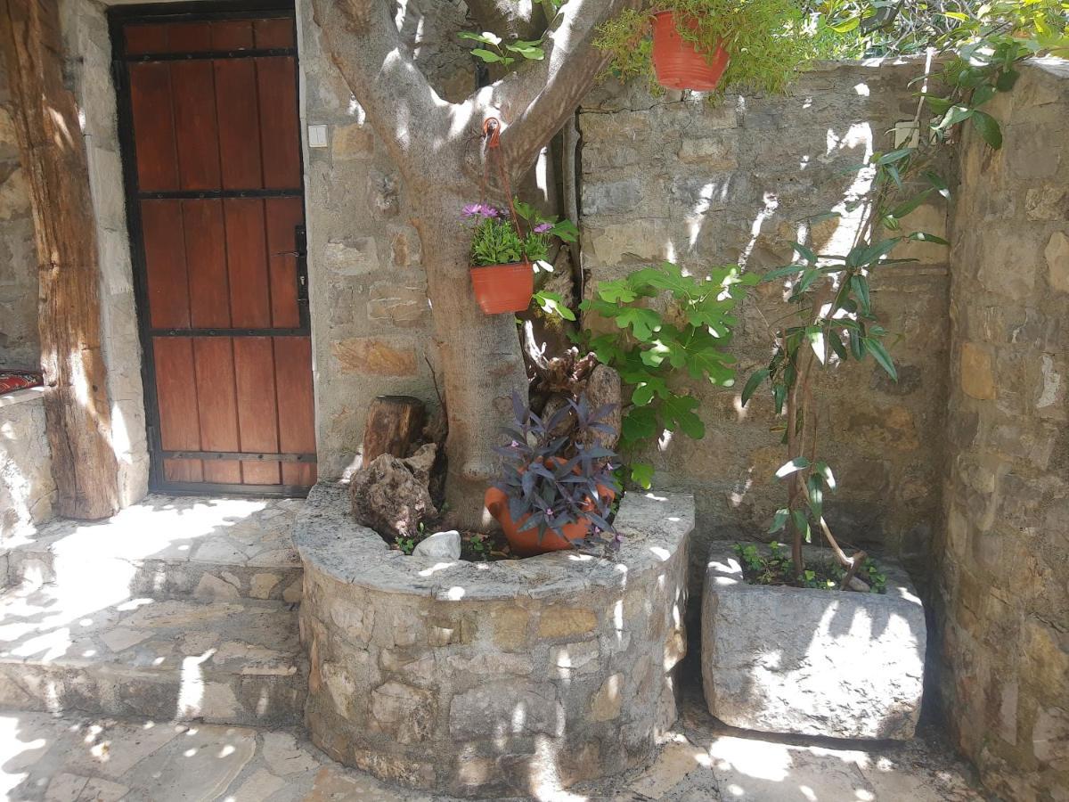 Sea-Side Old Stone Villa With A Private Garden Budva Extérieur photo