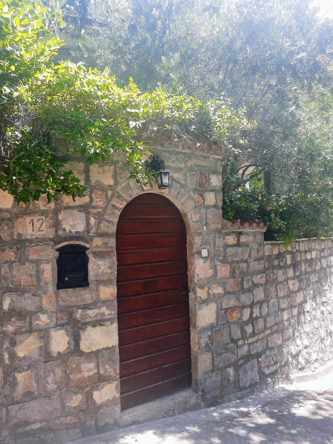 Sea-Side Old Stone Villa With A Private Garden Budva Extérieur photo
