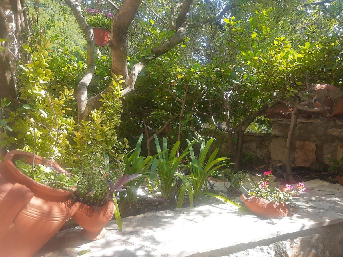 Sea-Side Old Stone Villa With A Private Garden Budva Extérieur photo