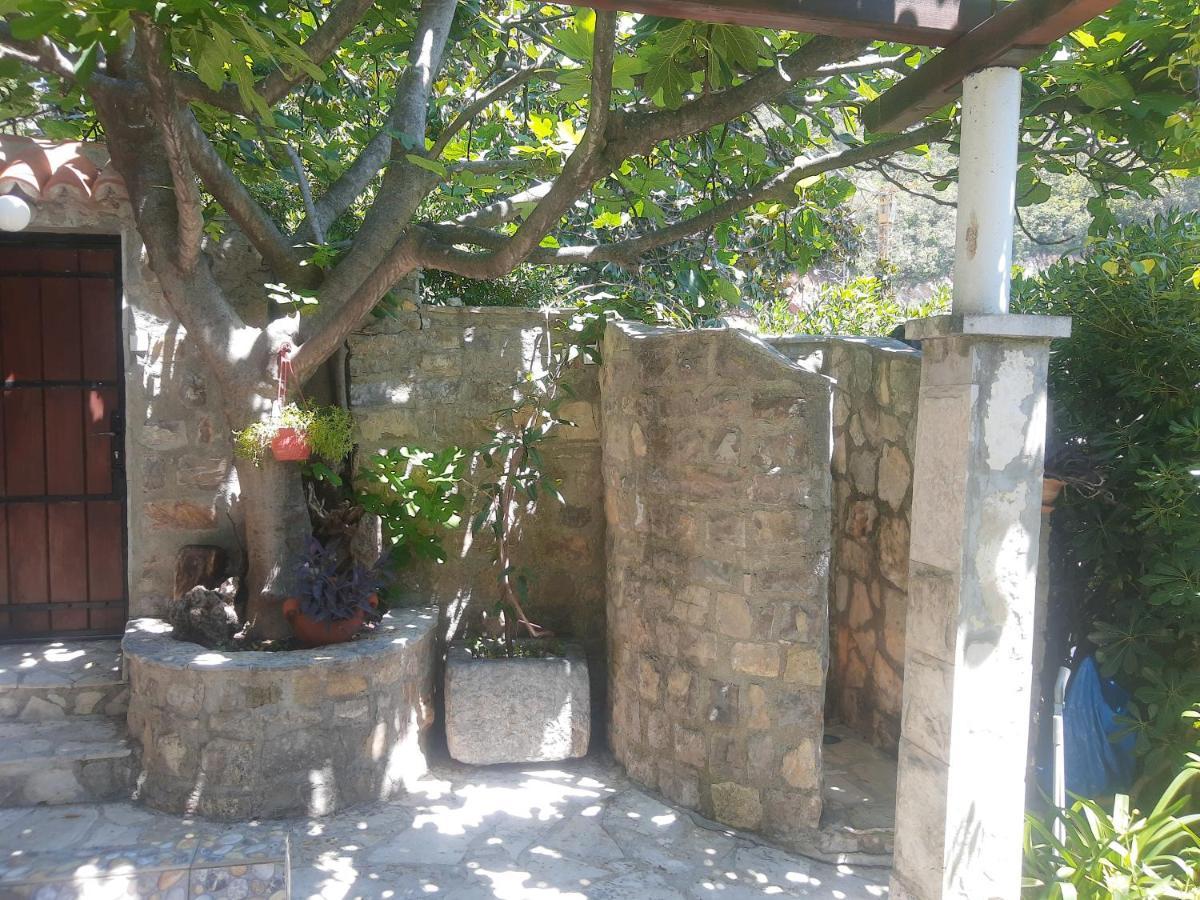 Sea-Side Old Stone Villa With A Private Garden Budva Extérieur photo