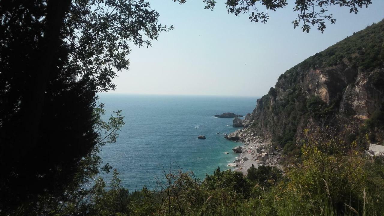Sea-Side Old Stone Villa With A Private Garden Budva Extérieur photo