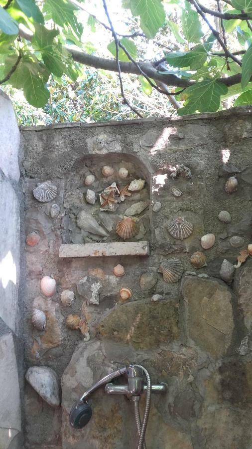 Sea-Side Old Stone Villa With A Private Garden Budva Extérieur photo