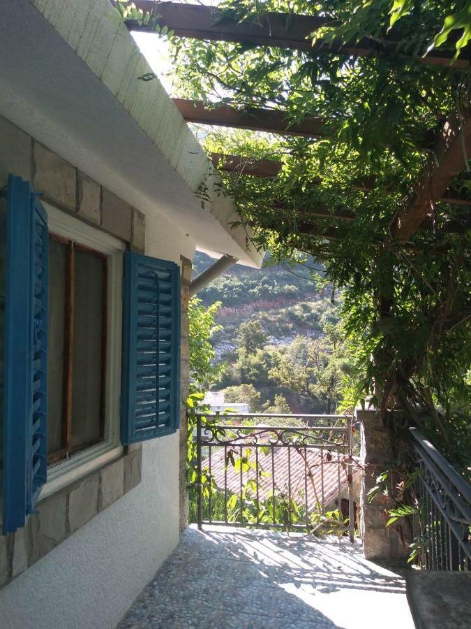 Sea-Side Old Stone Villa With A Private Garden Budva Extérieur photo